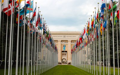 Why The United Nations and Shopify Might Just Help Boost Cardano