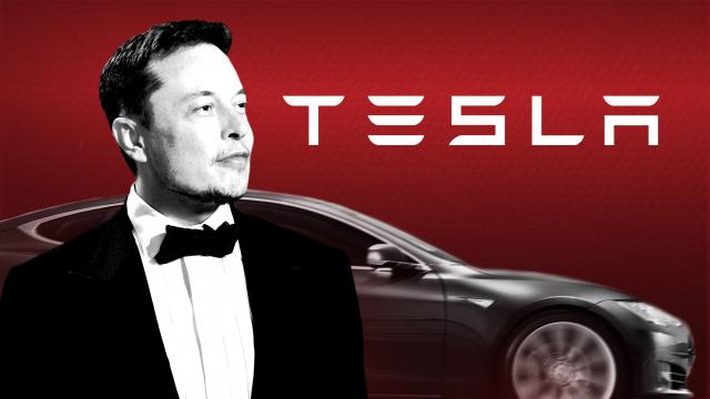 Weekly Update: Tesla Buys Bitcoin, More Celebrities Buy Dogecoin, MasterCard Open to Crypto